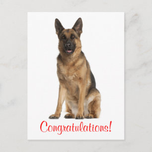 Cartão postal de felicitações do cachorro da raça