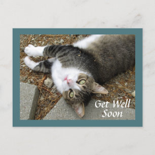 Cartão postal de Feliz Recuperação do Gato Malhado