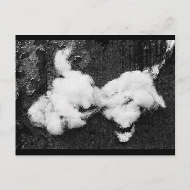 cartão postal de feriado para baixo (Frente)