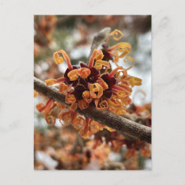 Cartão postal de férias de inverno