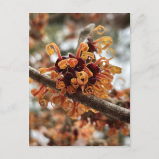 Cartão postal de férias de inverno