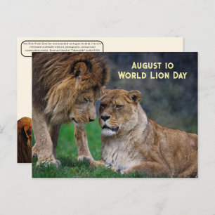 CARTÃO POSTAL DE FESTIVIDADES 