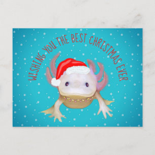 Cartão Postal de Festividades