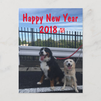 CARTÃO POSTAL DE FESTIVIDADES バーニーズマウンテンドッグとワイルドミックスドッグ 年賀状 2018年 戌年