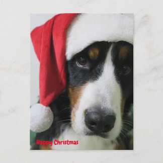 Cartão Postal De Festividades バ ズ マ ウ ン ニ テ ン ド da グ da ク da リ da ス da マ, ス, a s