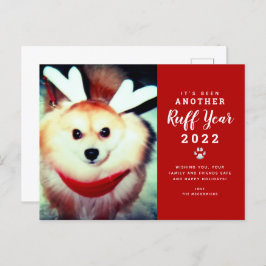 Cartão Postal De Festividades 2021 Foto Engraçada De Cachorro De Natal De Ruff