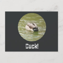 Cartão Postal De Festividades A Ducking Duck Postcard