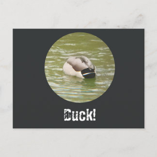 Cartão Postal De Festividades A Ducking Duck Postcard