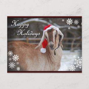 Cartão Postal De Festividades "A Goaty Holiday" Photo Card