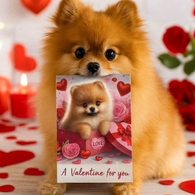 Cartão Postal De Festividades A Valentine for You Cute Pomeranian Dog  (A charming Valentine's Day postcard designed for dog enthusiasts, featuring a delightful Pomeranian)