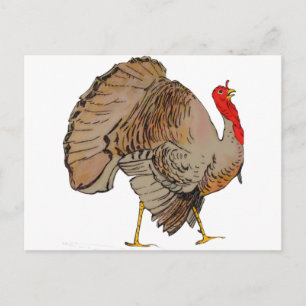 Cartão Postal De Festividades Ação de Graças de Cor do cheio na Turquia