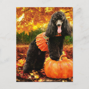 Cartão Postal De Festividades Acção de graças da queda - Gidget - caniche