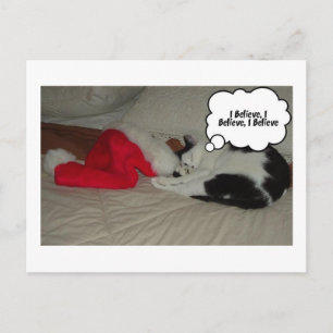 Cartão Postal De Festividades Acredita de Natal