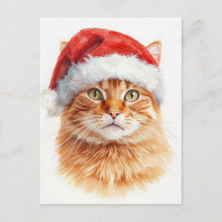 Cartão Postal De Festividades Adorable Orange Tabby Cat in Santa Hat
