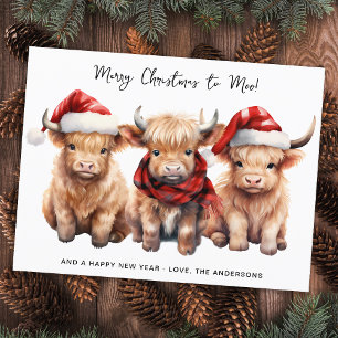 Cartão Postal De Festividades Adorável Vaca de Highland Calf Feliz Natal para MO