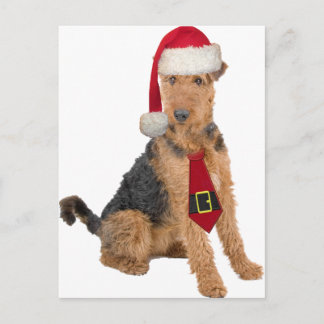 Cartão Postal De Festividades Airedale Terrier no chapéu do papai noel
