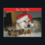 Cartão Postal De Festividades Akita bonito no chapéu vermelho do papai noel com<br><div class="desc">O nome deste japonês que bonito e muito bonito akita está neste grande cartão customizável do Natal é nomeado Ásia, é um akita vermelho, parte akita de tipo americano e peça o tipo japonês akita. Ásia é um cão do salvamento e este era seu primeiro Natal, olha agradável e relaxed...</div>