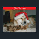 Cartão Postal De Festividades Akita bonito no chapéu vermelho do papai noel com<br><div class="desc">O nome deste japonês que bonito e muito bonito akita está neste grande cartão customizável do Natal é nomeado Ásia, é um akita vermelho, parte akita de tipo americano e peça o tipo japonês akita. Ásia é um cão do salvamento e este era seu primeiro Natal, olha agradável e relaxed...</div>