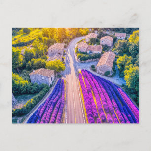 Cartão Postal De Festividades Aldeia com Campos de Lavanda e Estradas de Vento