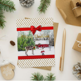 Cartão Postal De Festividades Alegria de Natal e Foto de Paz