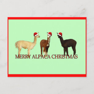 Cartão Postal De Festividades Alpaca Christmas