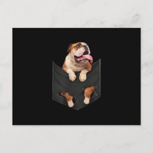 Cartão Postal De Festividades Amantes de Cães Bulldog Inglês no Bolso Cães