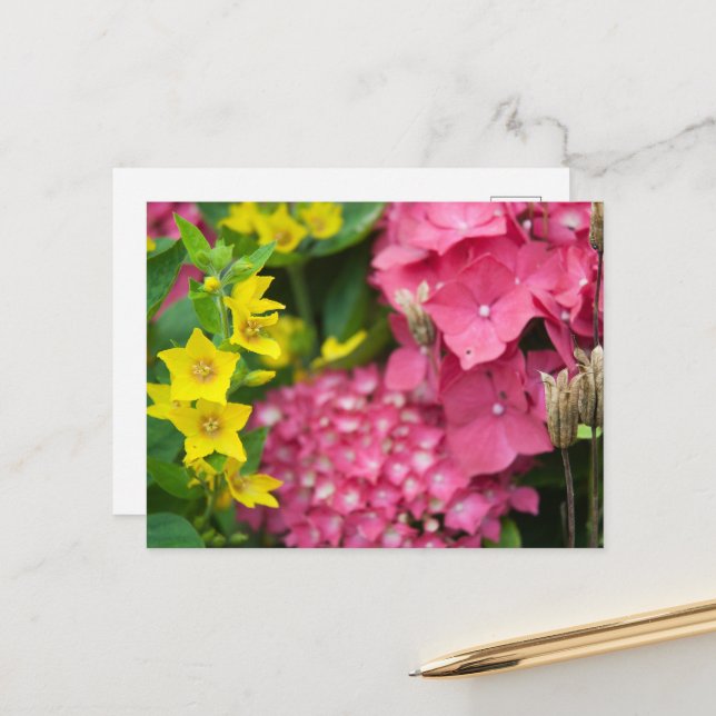 Cartão Postal De Festividades Amarelo e Rosa (Frente/Verso In Situ)