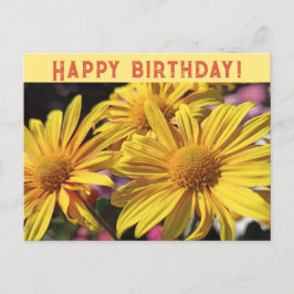 Cartão Postal De Festividades Amarelo Sunny/Chrysanthemum Amarelo/Parabéns/