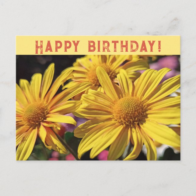 Cartão Postal De Festividades Amarelo Sunny/Chrysanthemum Amarelo/Parabéns/ (Frente)