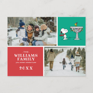 Cartão Postal De Festividades Amendoins   Banheira Congelada do Snoopy & Woodsto