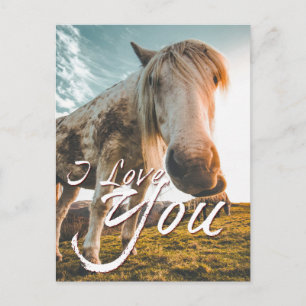 Cartão Postal De Festividades Amo-te com o Cavalo