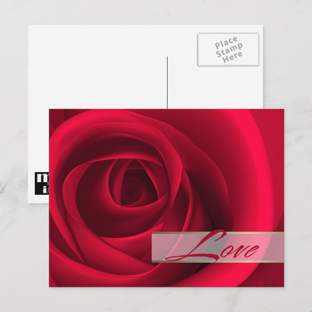 Cartão Postal De Festividades Amor. Rosa vermelha dia de os namorados (Frente/Verso)