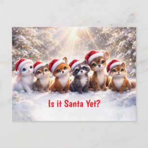 Cartão Postal De Festividades Animais Fofos da Floresta no Natal