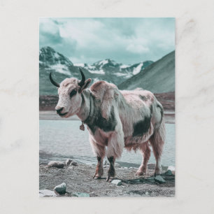 Cartão Postal De Festividades Animal de yak moderno de Trendy