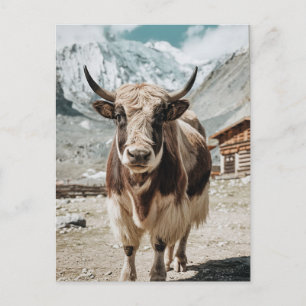 Cartão Postal De Festividades Animal de yak moderno de Trendy