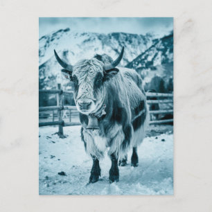 Cartão Postal De Festividades Animal de yak moderno de Trendy