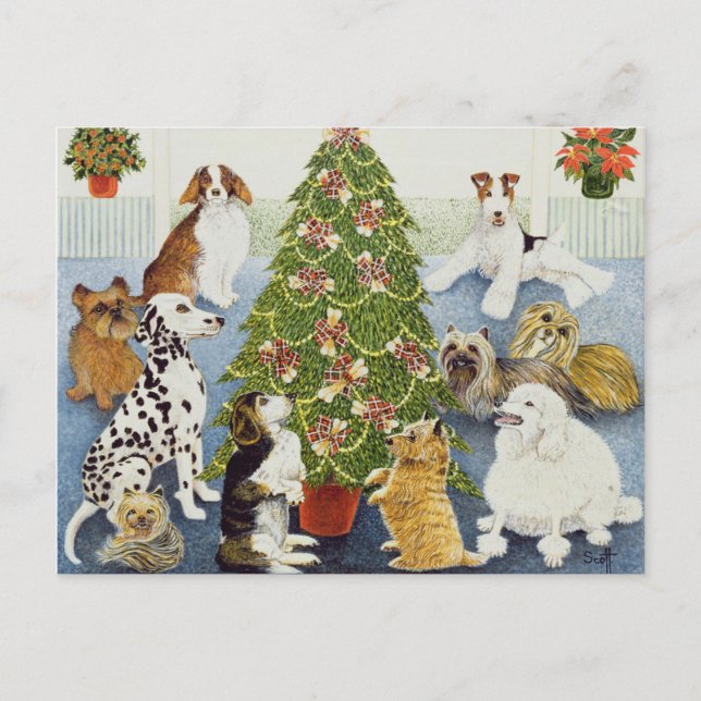 Cartão Postal De Festividades Antecipação (Frente)