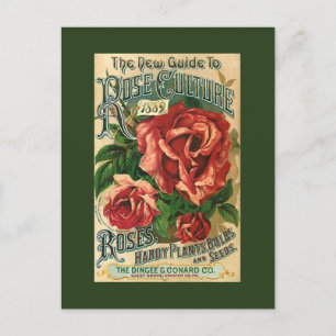 Cartão Postal De Festividades Antique Vintage Rosa Gardening Garden PCs de catál