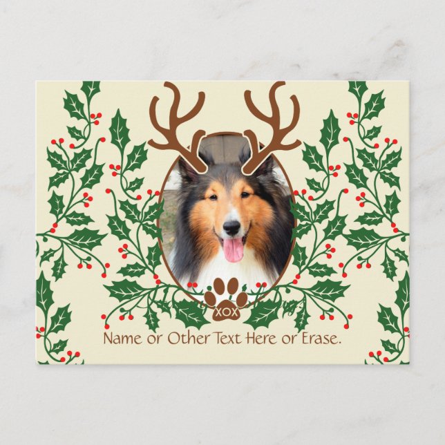 Cartão Postal De Festividades Antlers De Natal Para Cachorro / Personalizar Gato (Frente)