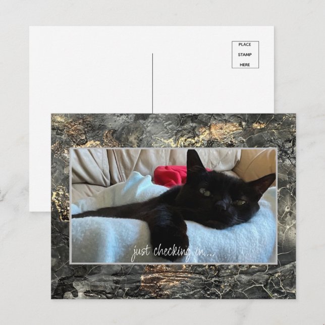 Cartão Postal De Festividades Apenas Fazendo Check-In De Carteira Preto (Frente/Verso)