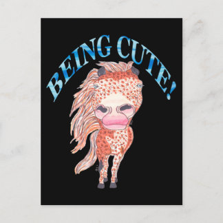 CARTÃO POSTAL DE FESTIVIDADES APPALOOSA BEING CUTE