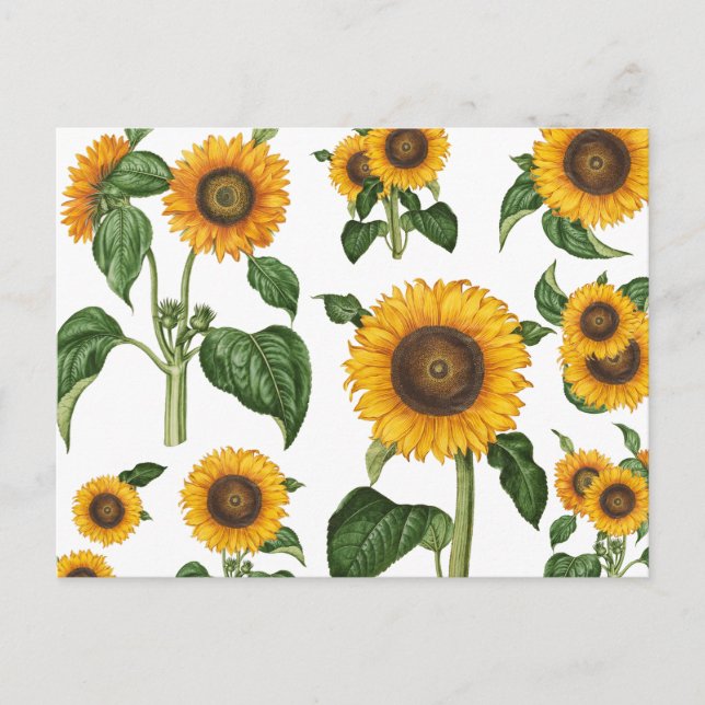 Cartão Postal De Festividades Aquarela Flores suntuárias Folhagem botânica Verde (Frente)