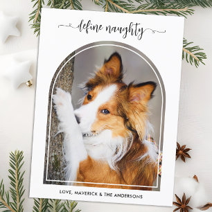 Cartão Postal De Festividades Arch Elegante Define Foto De Pet De Natal Maldita