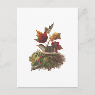 Cartão Postal De Festividades Arte de Louis Prang Pássaro com Folhagem de Outono