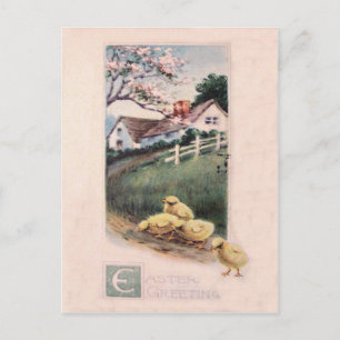 Cartão Postal De Festividades Árvore de Dogwood da jarda do pintinho da páscoa