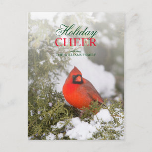 Cartão Postal De Festividades Árvore de Juniper com Cardeal Emitido na Ramifica
