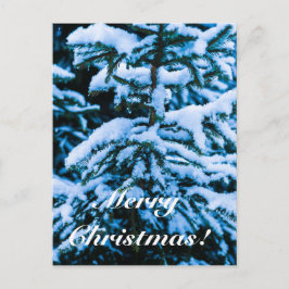 Cartão Postal De Festividades Árvore de Natal com Neve de Inverno