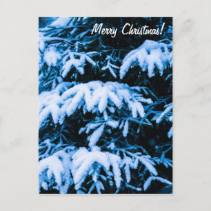 Cartão Postal De Festividades Árvore de Natal na Neve de Inverno