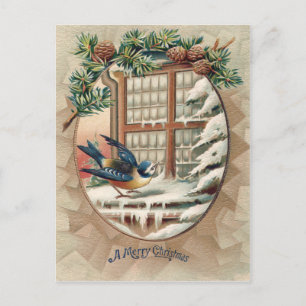 Cartão Postal De Festividades Árvore de Natal Pinhas Pinheiro