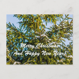 Cartão Postal De Festividades Árvore de Natal Verde Na Neve